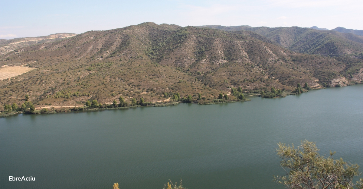 Endesa reduir el cabal final de l’Ebre durant tres dies per permetre els primers tractaments contra la mosca negra | EbreActiu.cat, revista digital d’oci actiu | Terres de l’Ebre ...