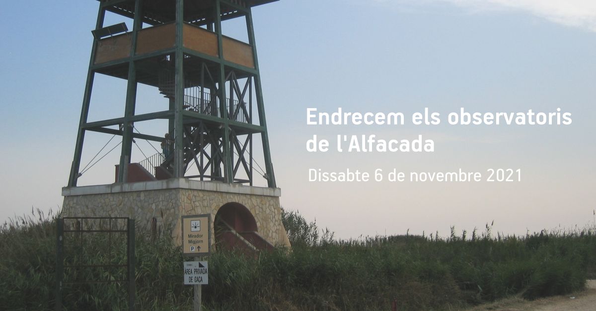 Endrecem els observatoris de l’Alfacada