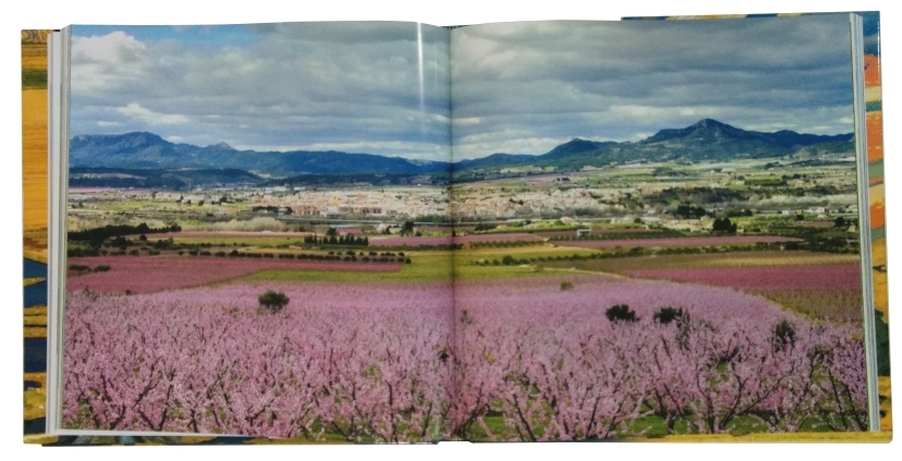 Vicent Pellicer: Intento de veure els paisatges amb el cor, per poder copsar-ne l’essncia | EbreActiu.cat, revista digital d’oci actiu | Terres de l’Ebre ...