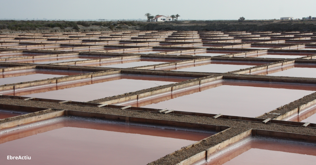 El nou clster d’Economia Blava del Delta de l’Ebre reivindica el paper mediambiental de les empreses | EbreActiu.cat, revista digital d’oci actiu | Terres de l’Ebre ...