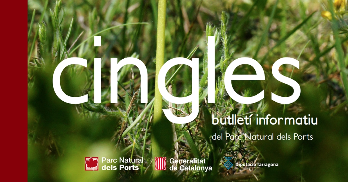 Es publica el primer butllet electrnic e-Cingles | EbreActiu.cat, revista digital d’oci actiu | Terres de l’Ebre ...