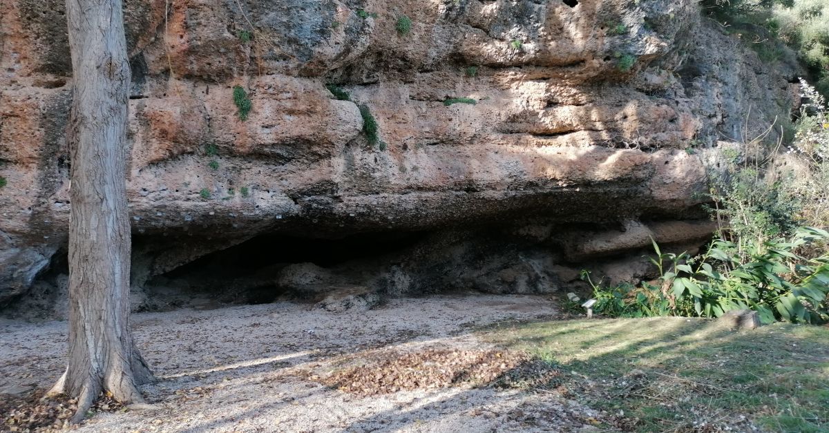 Es prohibeix lescalada al Jard del Bou per la presncia de flora amenaada i en perill dextinci.