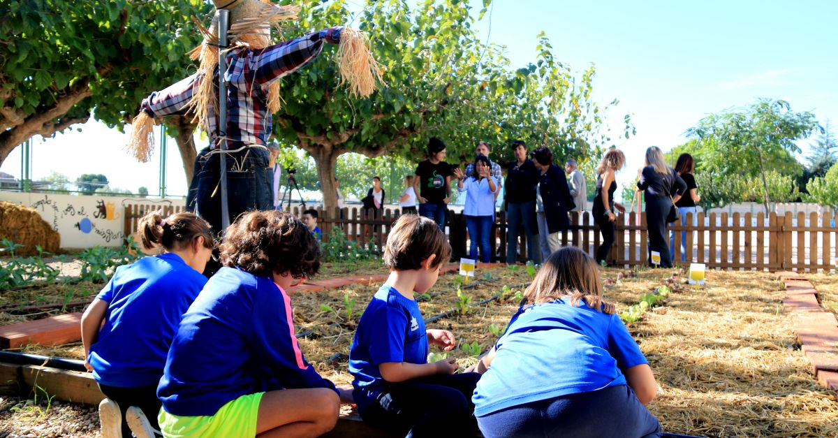 Alumnes de l’Escola 21 d’Abril de l’Aldea, premiats pel seu hort ecolgic | EbreActiu.cat, revista digital d’oci actiu | Terres de l’Ebre ...