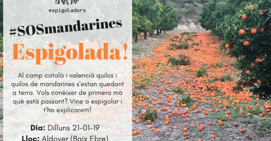 Espigolada. SOS Mandarines