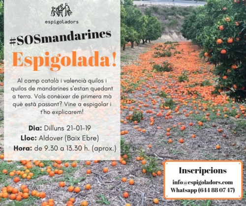 Espigolada. SOS Mandarines