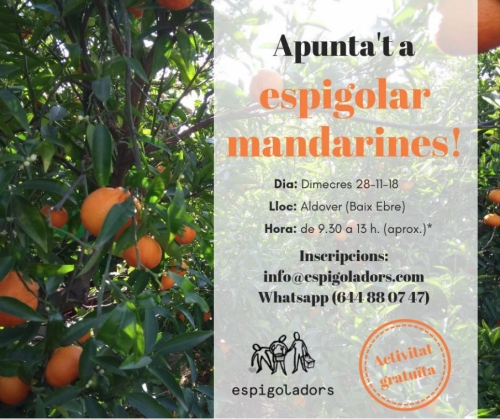 Apunta’t a espigolar mandarines