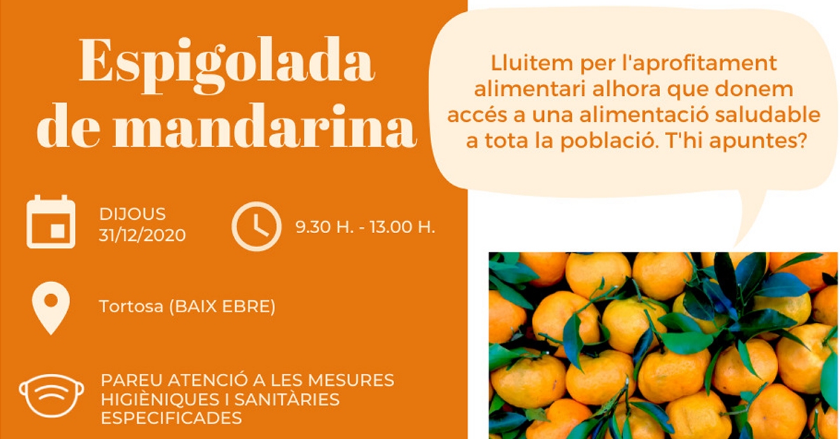 Espigolada de mandarina