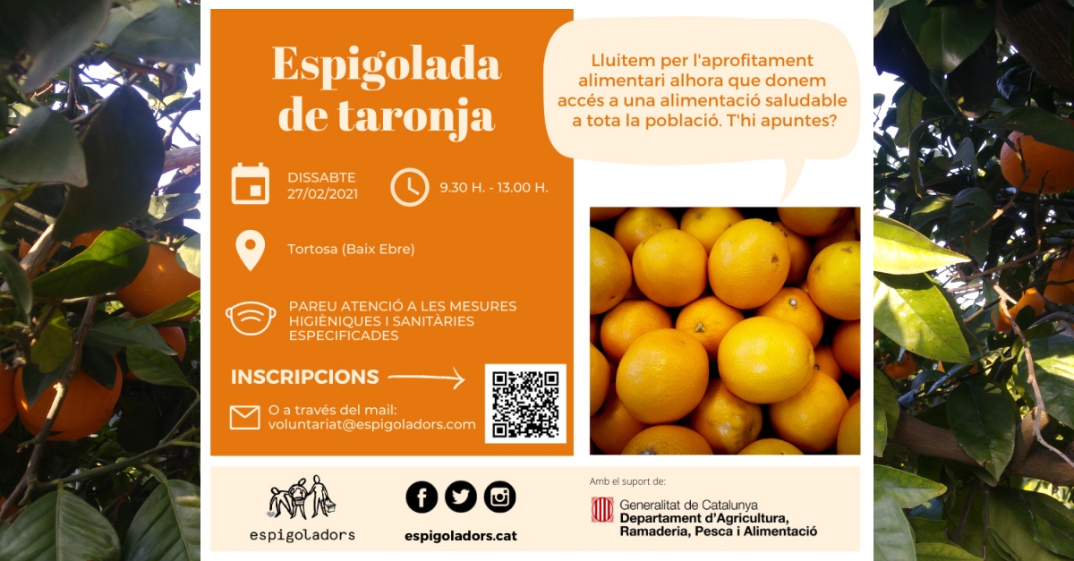 Espigolada de naranja