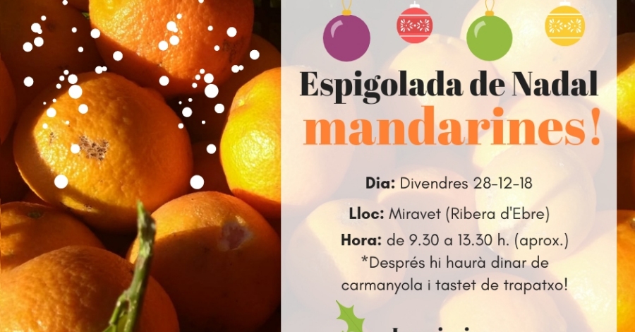 Apuntat a espigolar mandarines