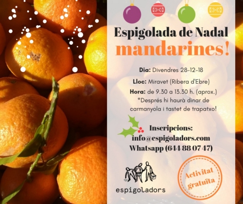 Apuntat a espigolar mandarines