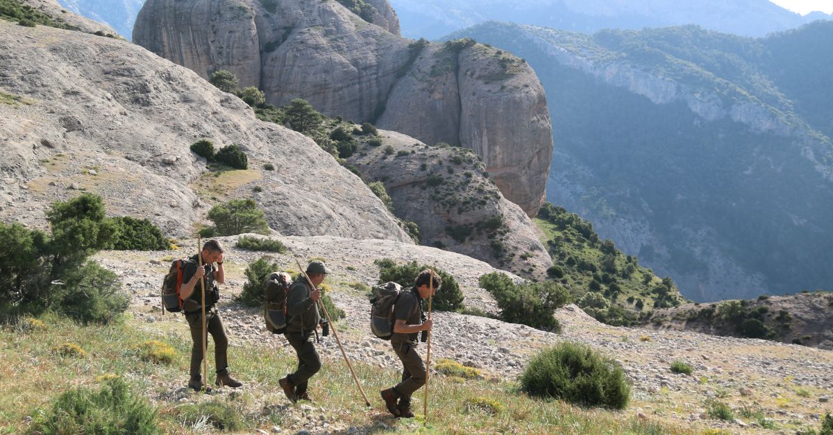 La poblaci de cabra ibrica dels Ports s’estabilitza desprs que la sarna n’hagi matat el 85% els ltims anys | EbreActiu.cat, revista digital d’oci actiu | Terres de l’Ebre ...