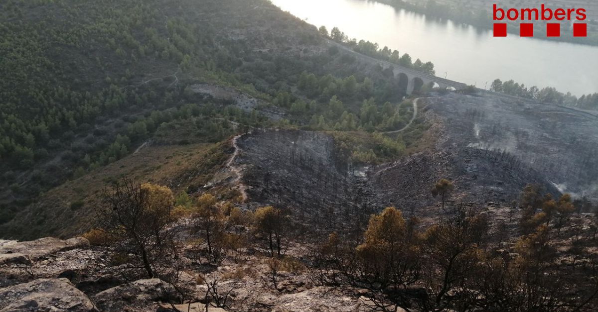 Els Bombers ja tenen controlat l’incendi de la Pobla de Massaluca | EbreActiu.cat, revista digital d’oci actiu | Terres de l’Ebre ...