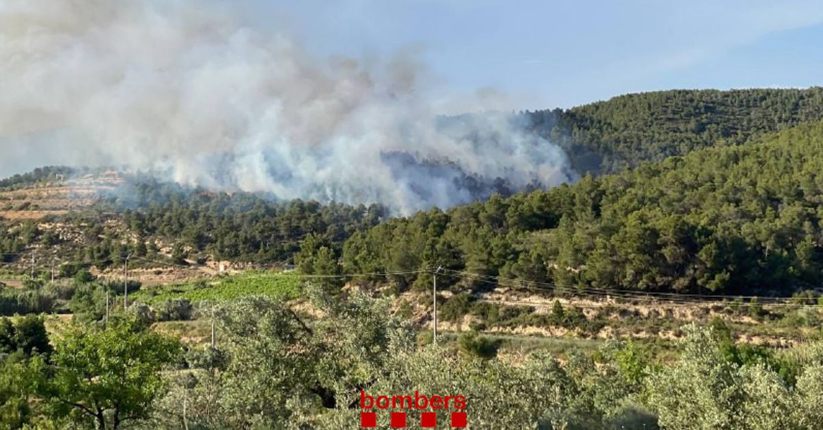 Extingit l’incendi de Vilalba dels Arcs que ha cremat unes vuit hectrees | EbreActiu.cat, revista digital d’oci actiu | Terres de l’Ebre ...