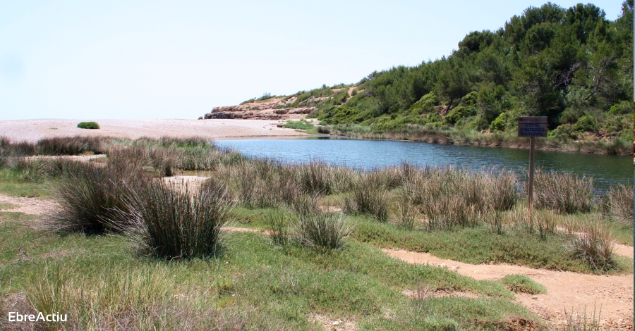 Un recorregut per les platges i cales de l’Ametlla de Mar | EbreActiu.cat, revista digital d’oci actiu | Terres de l’Ebre ...