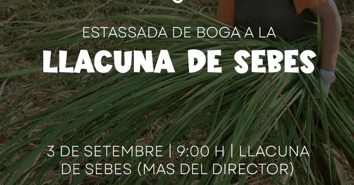 Estassada de boga a la llacuna de Sebes