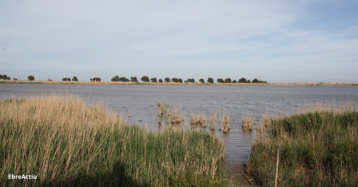 El Pla estatal de Protecci del Delta de l’Ebre s’aprovar a l’agost | EbreActiu.cat, revista digital d’oci actiu | Terres de l’Ebre ...