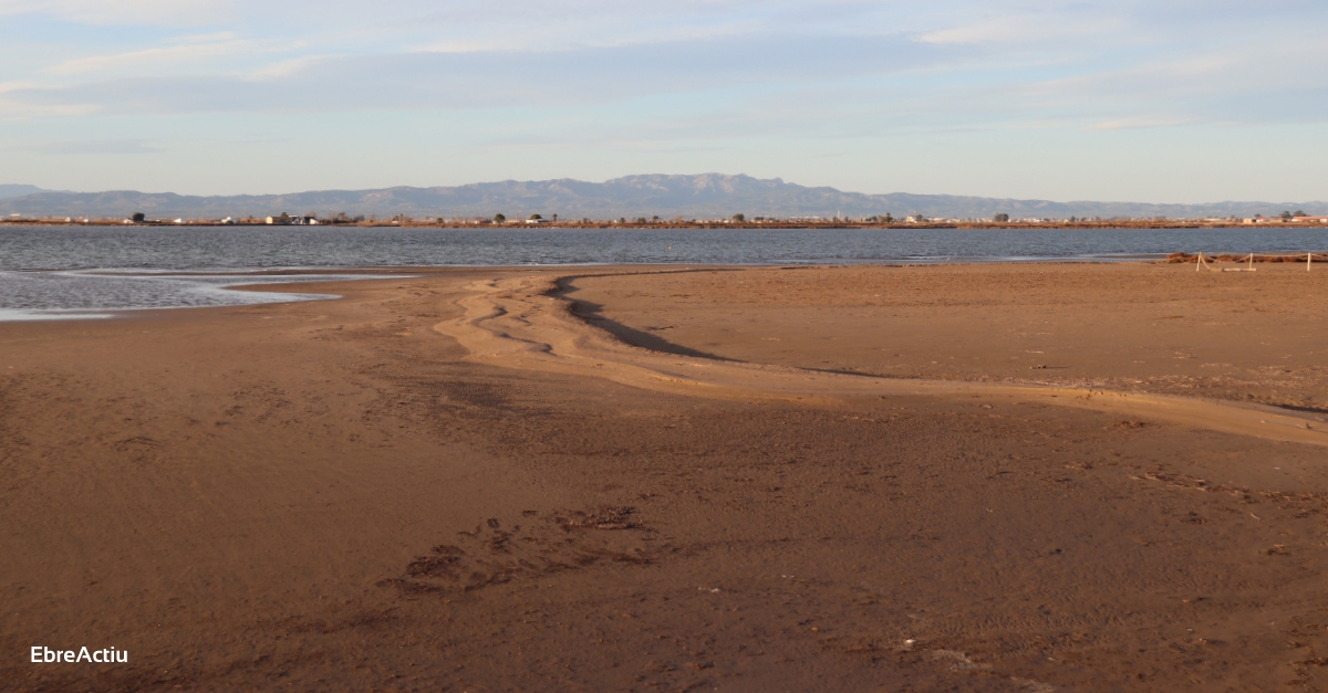 L’Estat "enriquir" el Pla de Protecci del Delta de l’Ebre amb les propostes i suggeriments del territori | EbreActiu.cat, revista digital d’oci actiu | Terres de l’Ebre ...