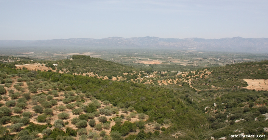 Estiu clid i pluviomtricament irregular | EbreActiu.cat, revista digital d’oci actiu | Terres de l’Ebre ...