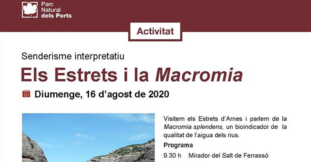 Sederisme interpretatiu: Els Estrets i la macromia