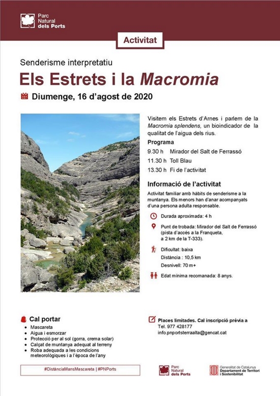 Sederisme interpretatiu: Els Estrets i la macromia