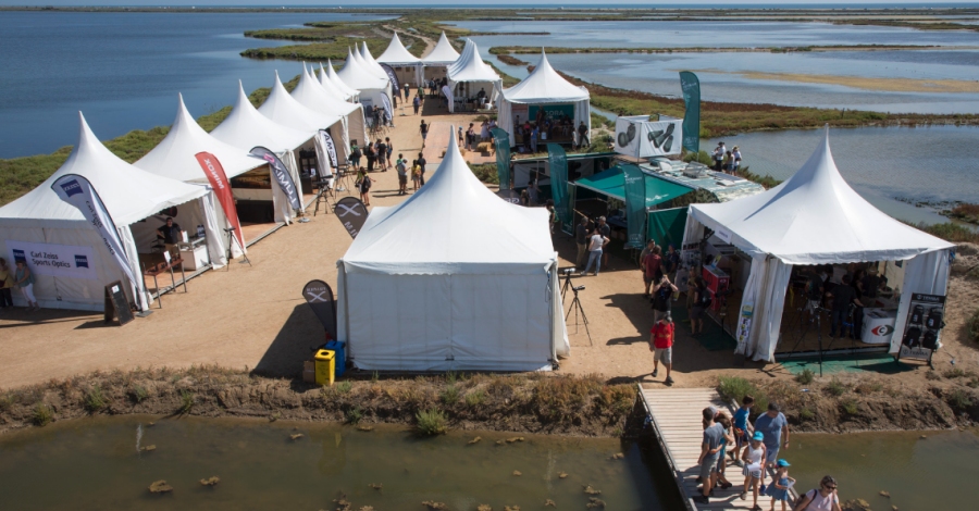 Delta Birding Festival, el nico festival ornitolgico de Catalunya | EbreActiu.cat, revista digital de ocio activo | Terres de l’Ebre...