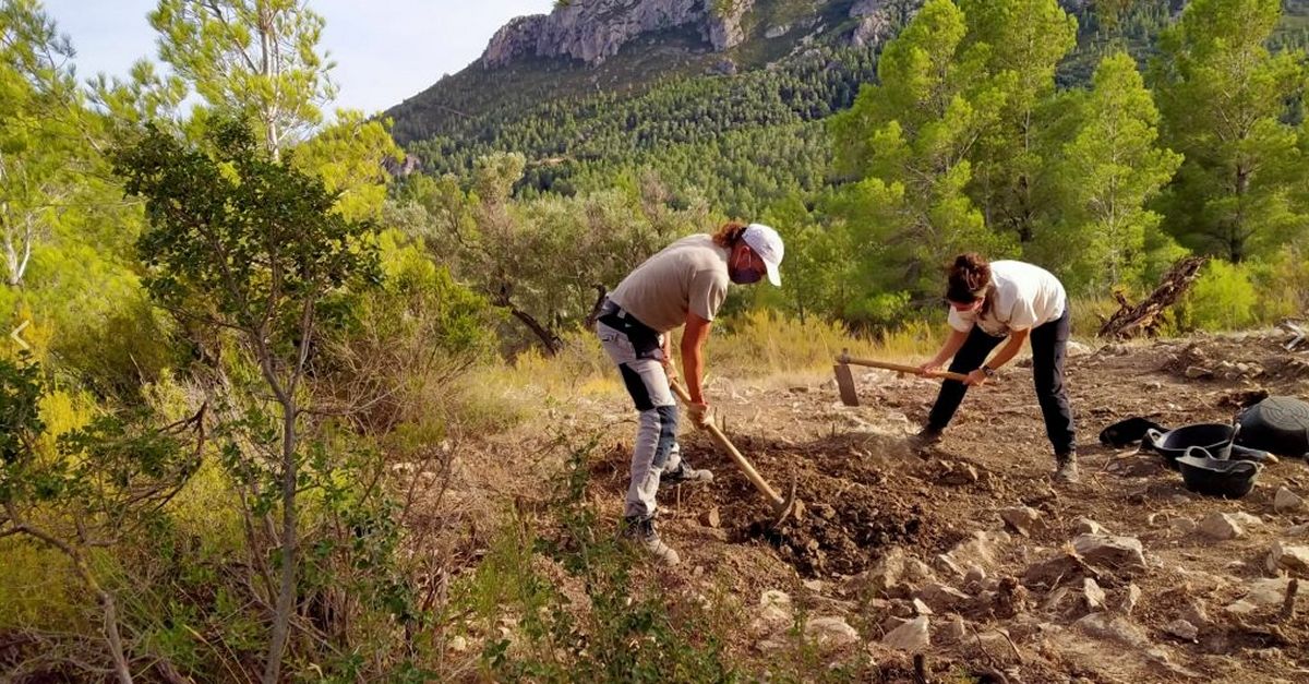 Els arquelegs de la URV excaven el jaciment dels Malladarets a Alfara de Carles i en destaquen la grandria | EbreActiu.cat, revista digital d’oci actiu | Terres de l’Ebre ...