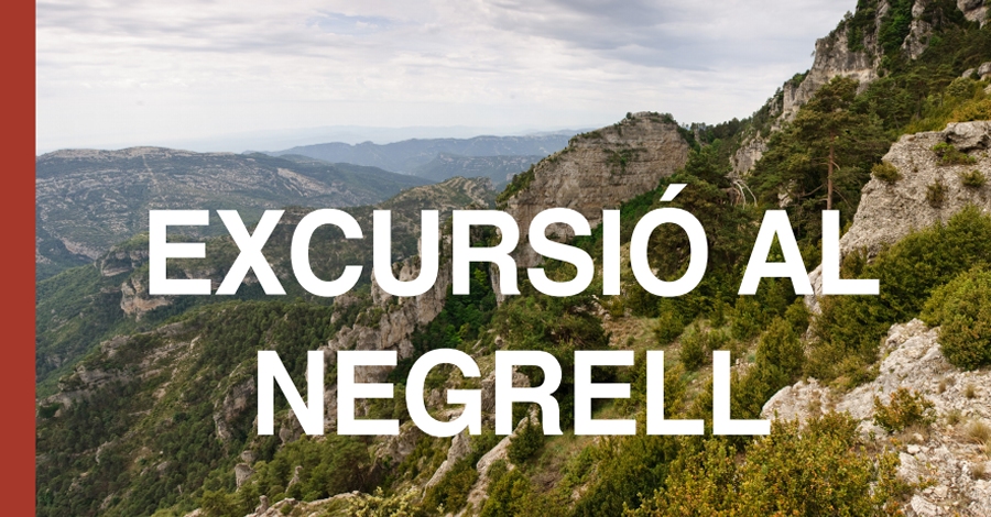 Excursin al Negrell