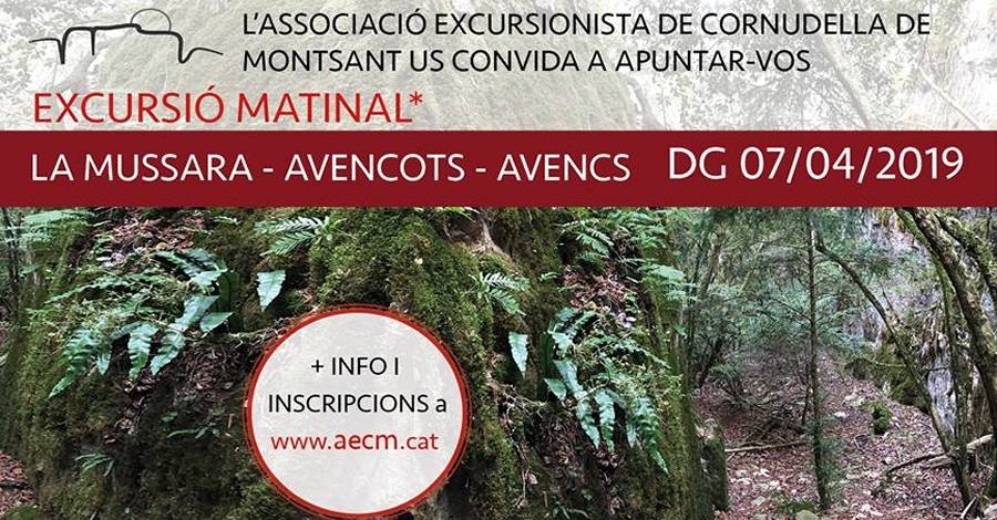 Excursin matinal La Mussara-Avencots-Avencs