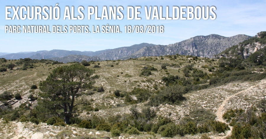 Excursi als Plans de Valldebous