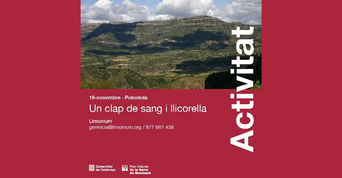 Excursin per la solana de la sierra de Montsant: Un clap de sang i licorella