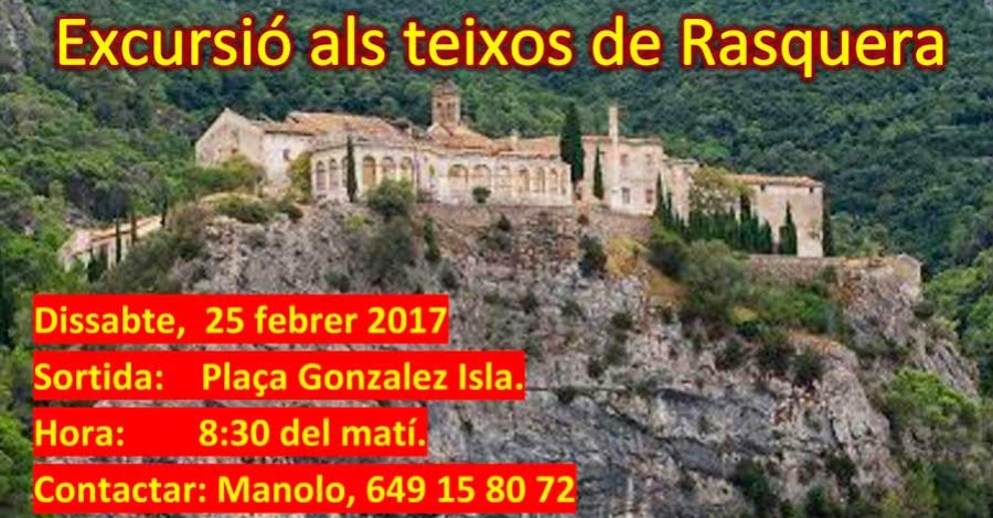 Excursi als teixos de Rasquera