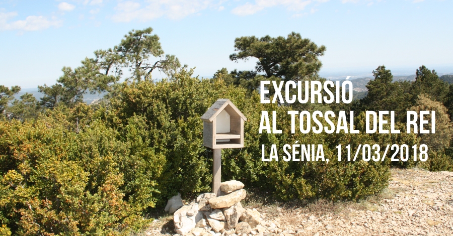 Excursi al Tossal del Rei