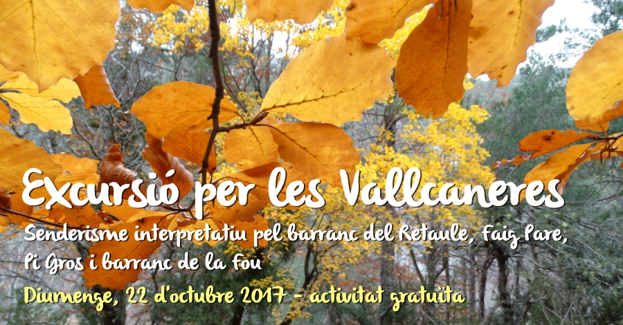 Excursi per les Vallcaneres