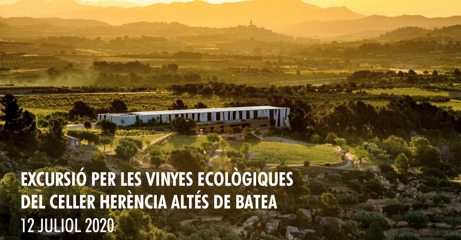 Excursi per les vinyes ecolgiques del celler Herncia Alts Batea