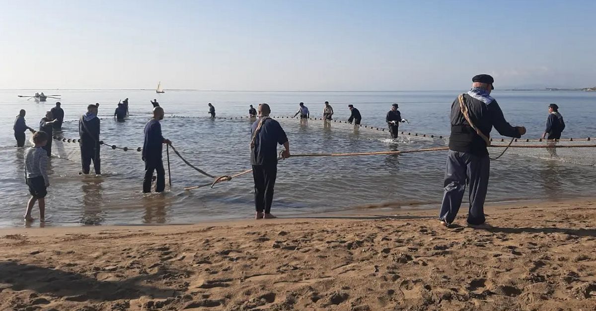 xit de participaci en la 6a edici d’Orgens | EbreActiu.cat, revista digital d’oci actiu | Terres de l’Ebre ...