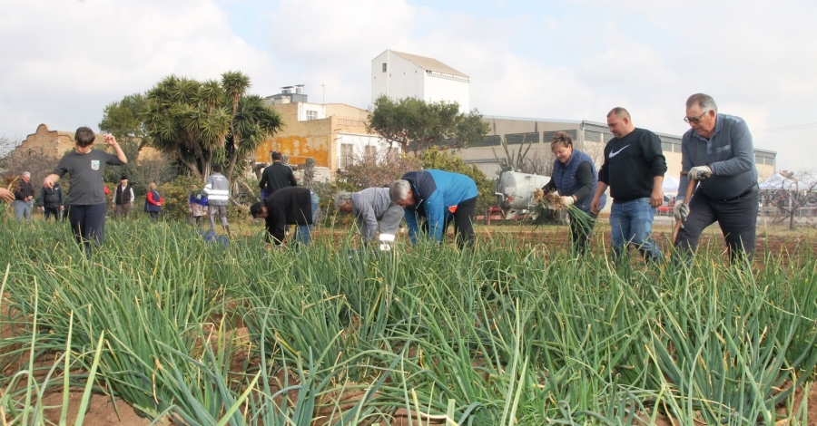 La primera Calotada del Delta a L’Aldea compleix les expectatives | EbreActiu.cat, revista digital d’oci actiu | Terres de l’Ebre ...