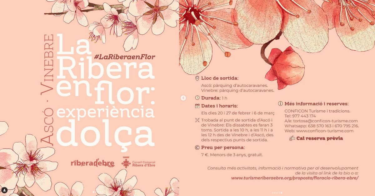 La Ribera en Flor. Experincia en blanc i rosa. Ruta entre ametllers florits i tast de mel