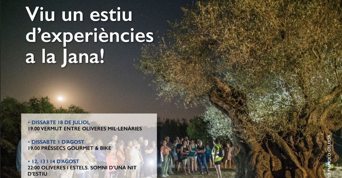 Oliveres i estels, somni d’una nit d’estiu