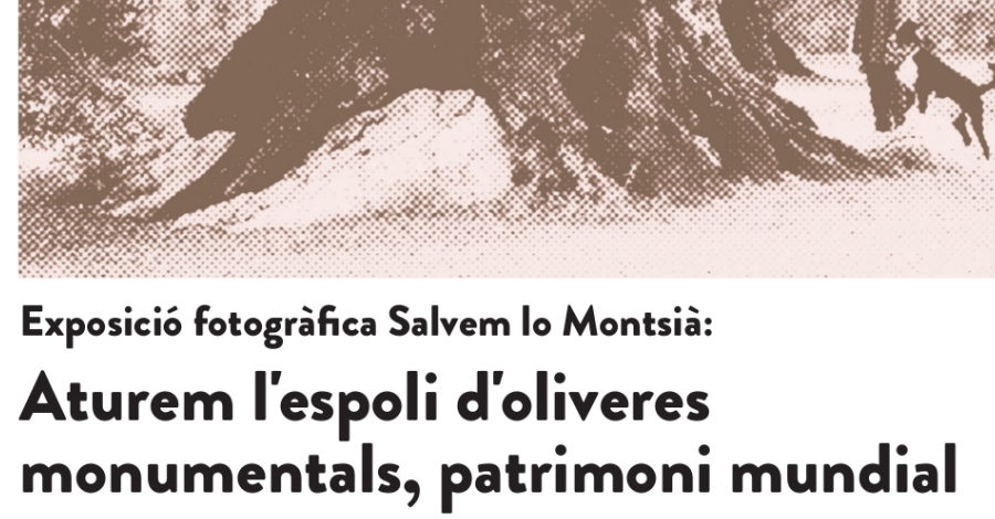 Exposicin fotogrfica: Aturem lespoli doliveres monumentals, patrimoni mundial