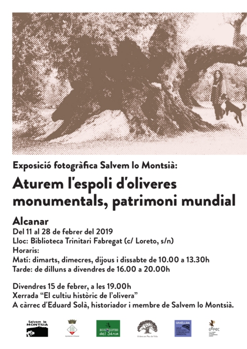 Exposici fotogrfica: Aturem lespoli doliveres monumentals, patrimoni mundial