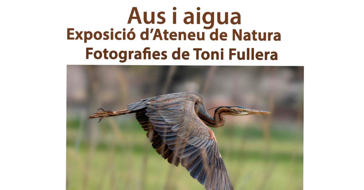 Aus i aigua. Exposici dAteneu de Natura