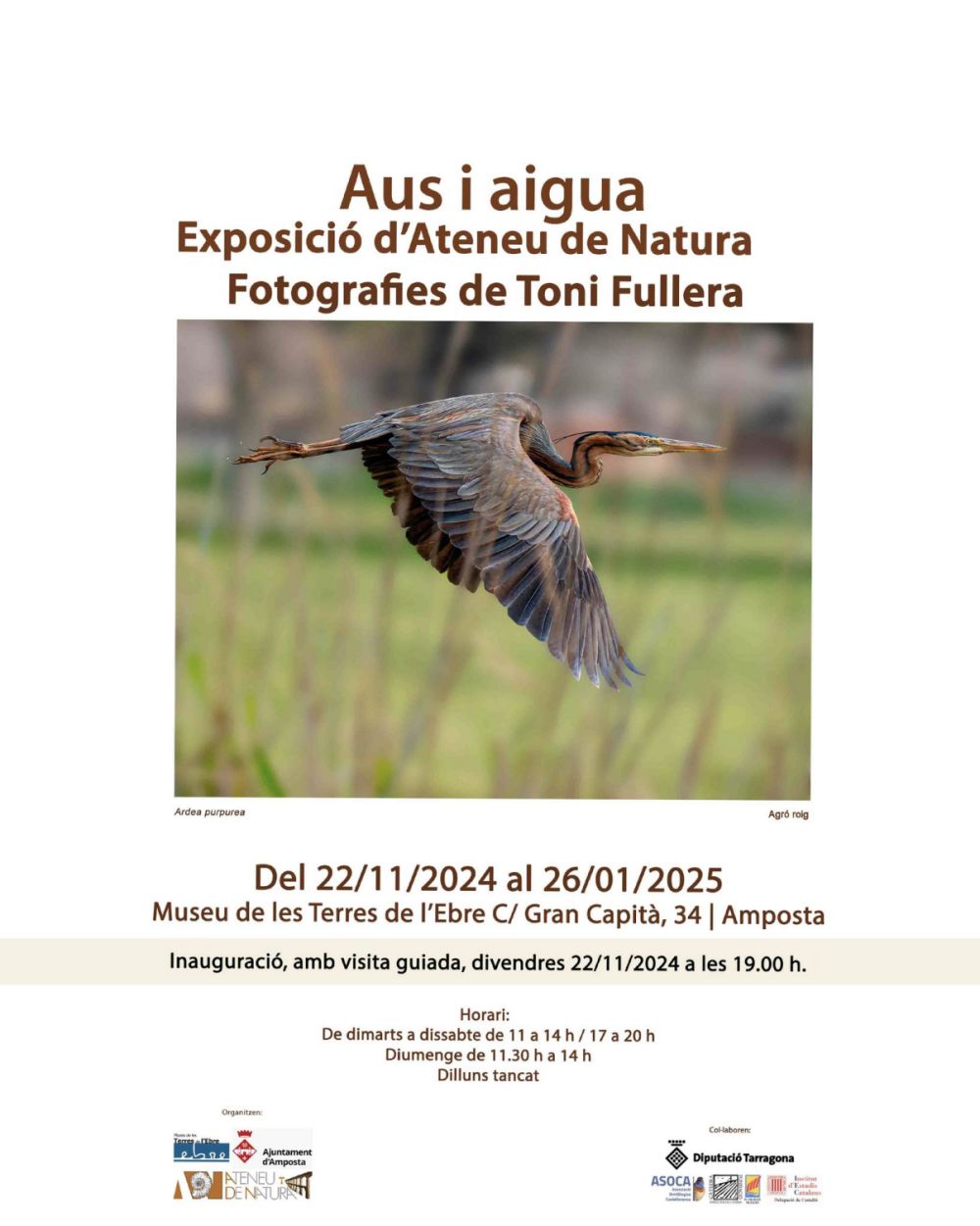 Aus i aigua. Exposici dAteneu de Natura