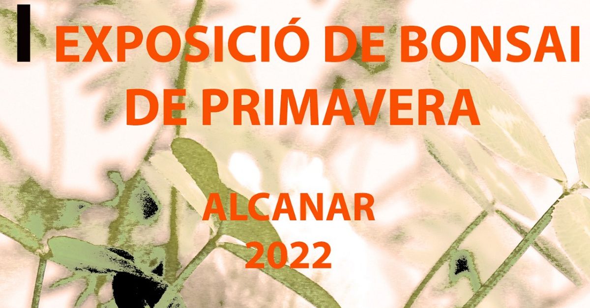 Exposicin de bonsai de primavera