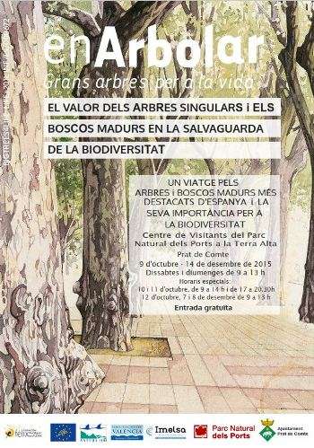 Exposici "enArbolar, grans arbres per a la vida"