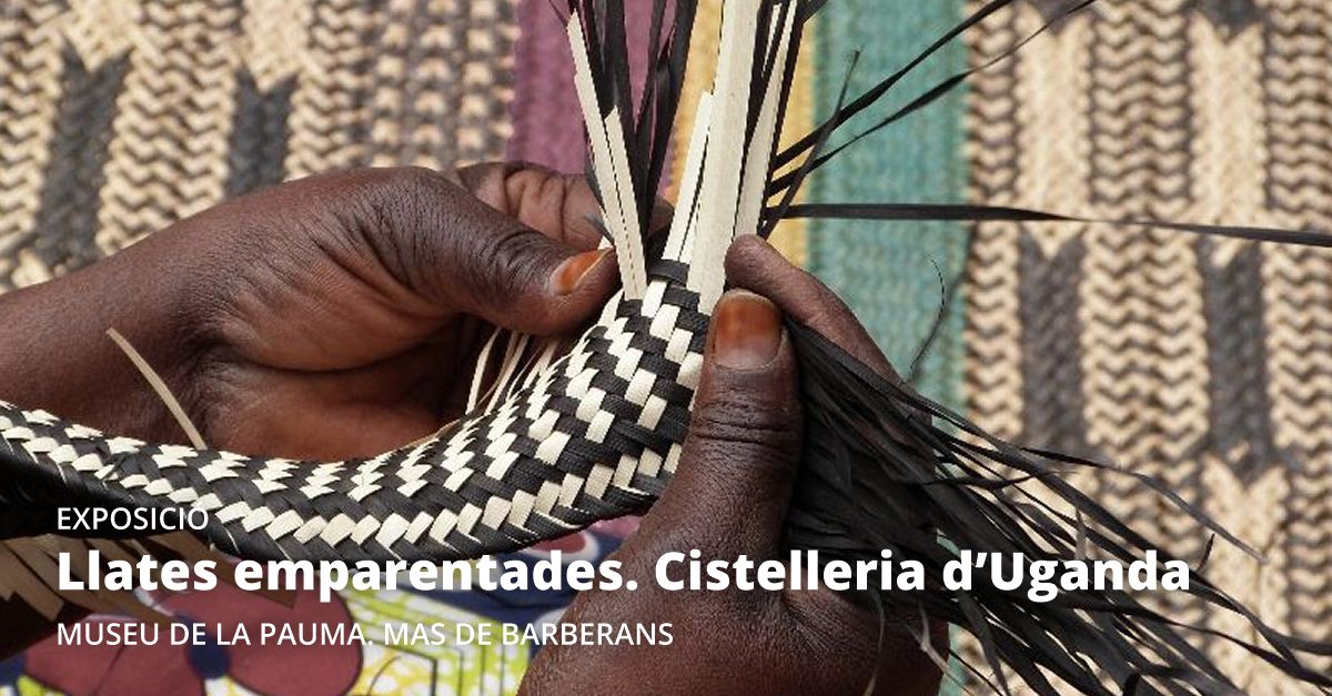 Exposici Llates emparentades. Cistelleria dUganda