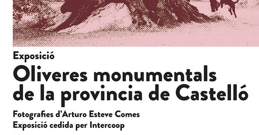 Exposici Oliveres monumentals de la provncia de Castell