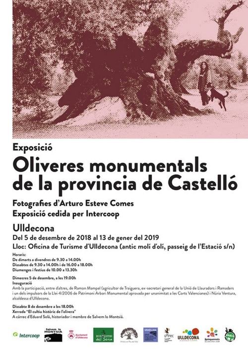 Exposici Oliveres monumentals de la provncia de Castell