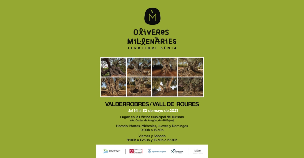 Exposici Oliveres millenries del Territori Snia