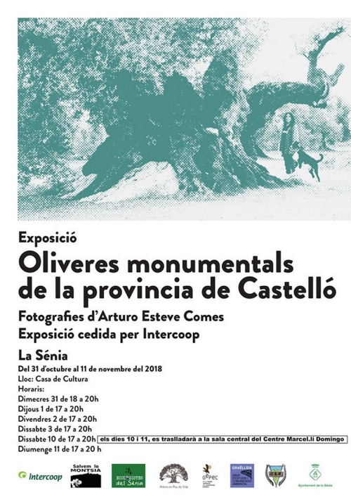 Exposici: Oliveres monumentals de la provncia de Castell