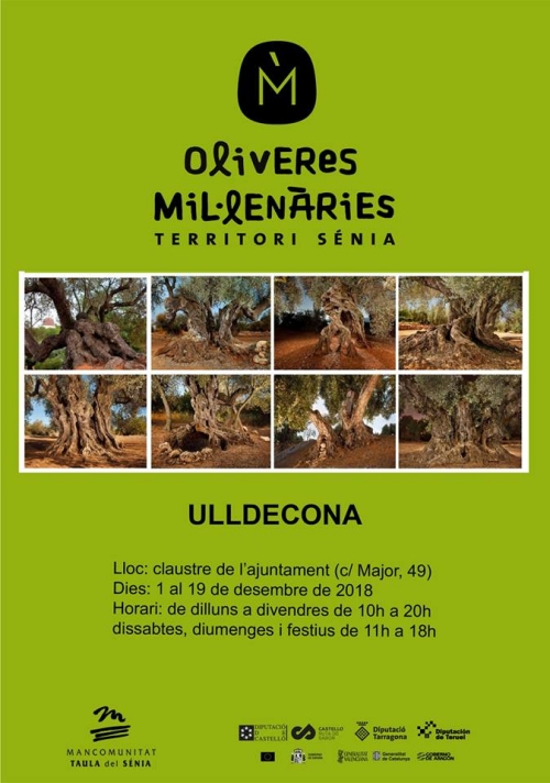 Exposici Oliveres millenries Territori Snia